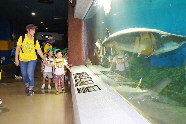 おたる水族館バス遠足②