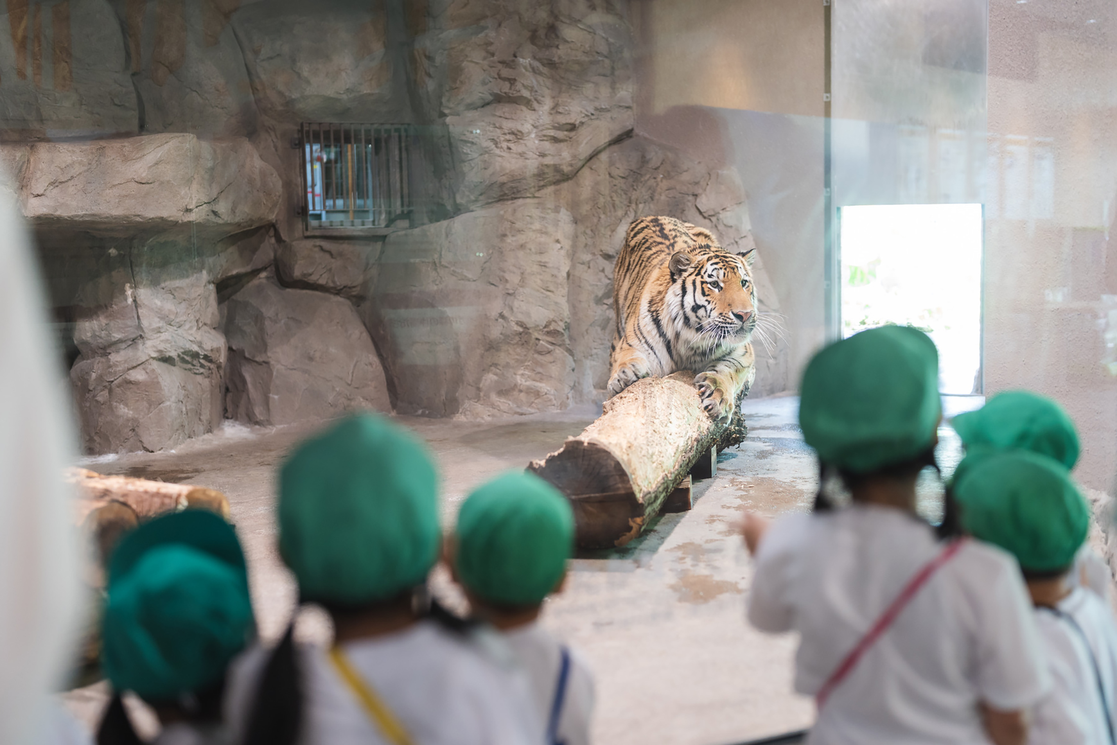 動物園バス遠足①